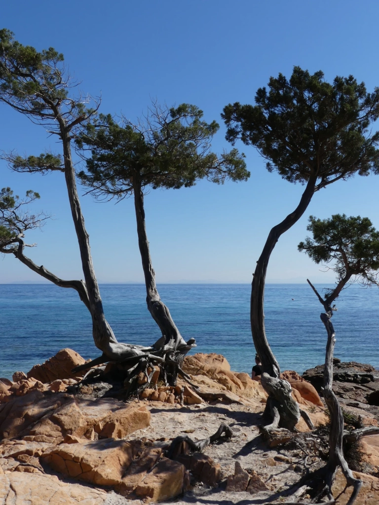 4204830e87383858dd898fea628843ae2bc1b907