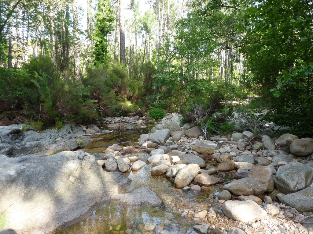 44a5cfdf79147582cce9b66fe583c1b3ba512128