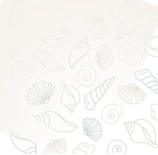 coquillage_bas_droite (1)