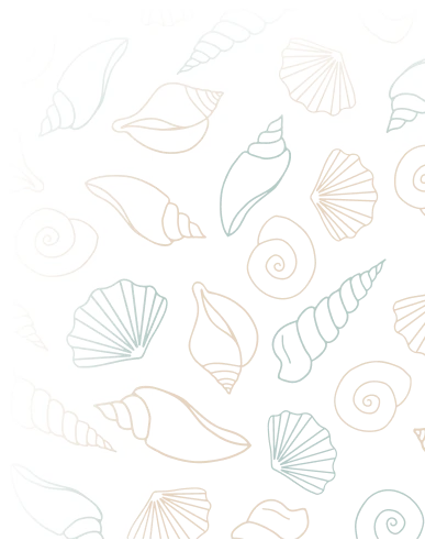 coquillage_bas_droite