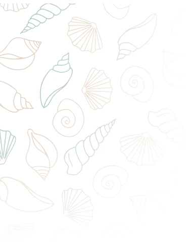 coquillage_haut_gauche (1)