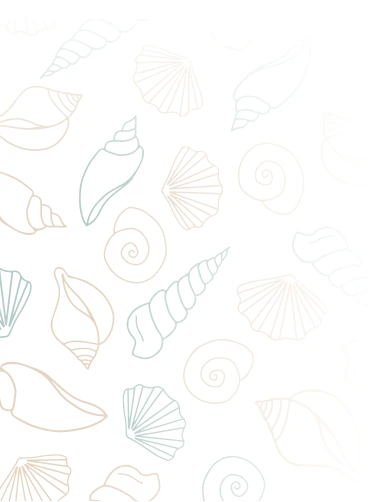 coquillage_haut_gauche (2)